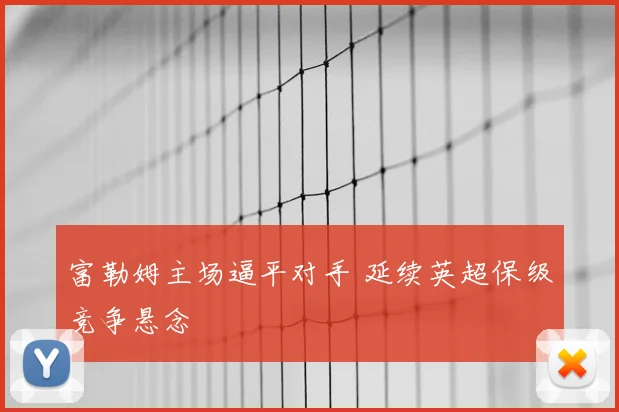 富勒姆主场逼平对手 延续英超保级竞争悬念