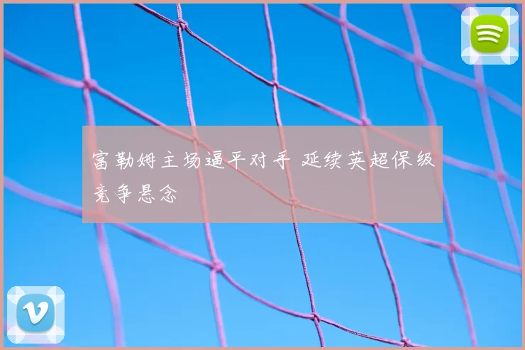富勒姆主场逼平对手 延续英超保级竞争悬念
