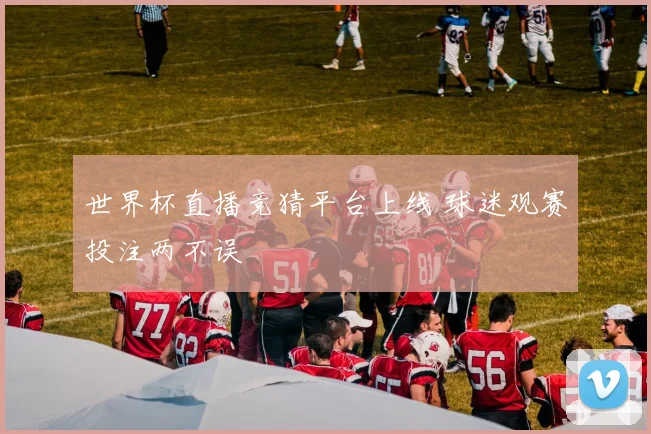 世界杯直播竞猜平台上线 球迷观赛投注两不误
