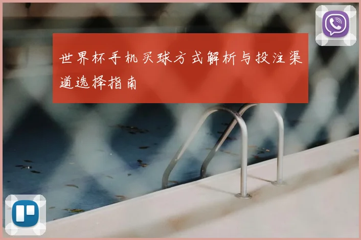 世界杯手机买球方式解析与投注渠道选择指南