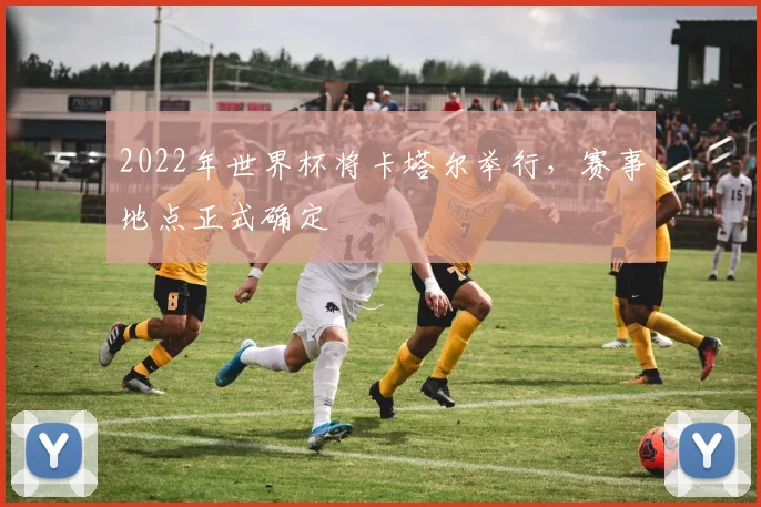 2022年世界杯将卡塔尔举行，赛事地点正式确定