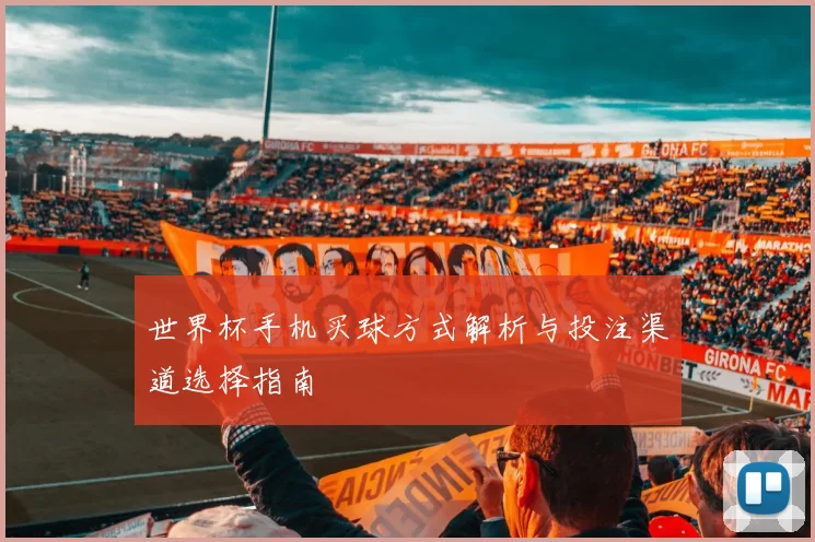 世界杯手机买球方式解析与投注渠道选择指南