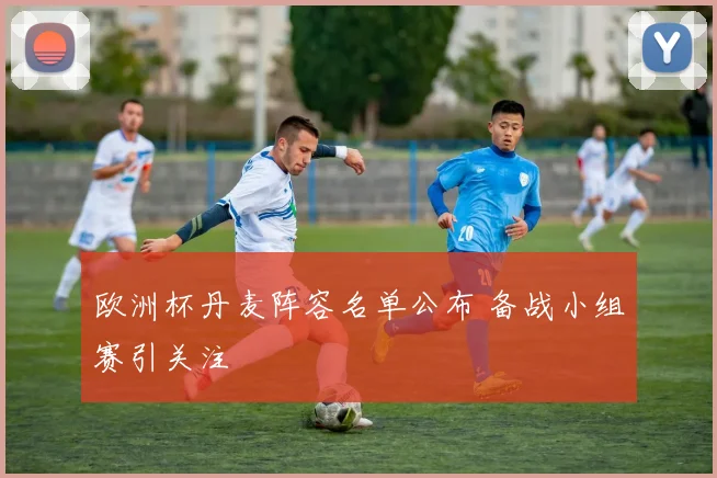 欧洲杯丹麦阵容名单公布 备战小组赛引关注