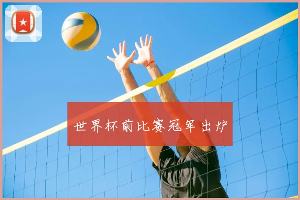 世界杯前比赛冠军出炉