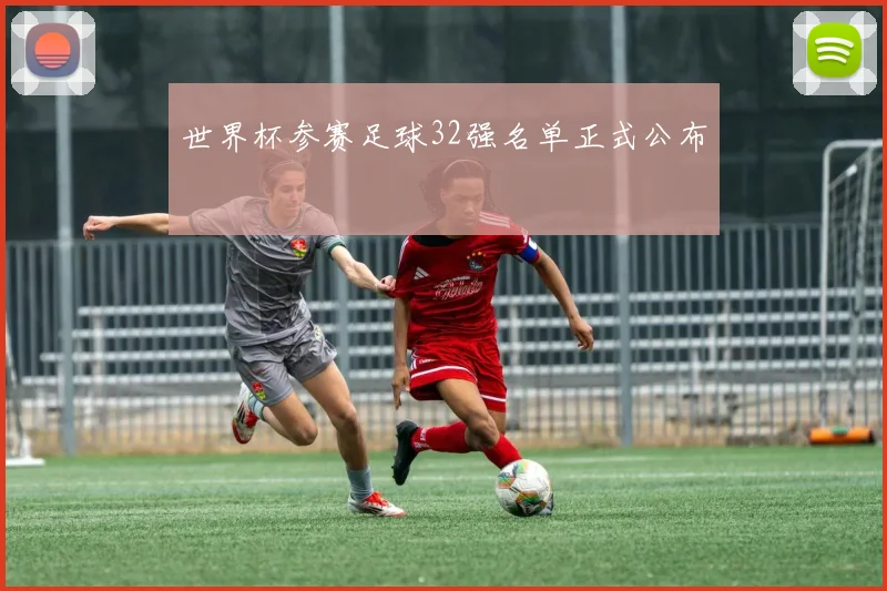 世界杯参赛足球32强名单正式公布